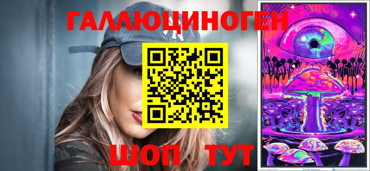 Галлюциногенные грибы Psilocybe Апатиты