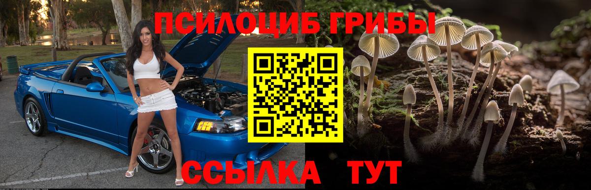 Апатиты  Галлюциногенные грибы Cubensis  Вход с VPN 